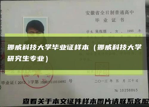 挪威科技大学毕业证样本（挪威科技大学研究生专业）缩略图