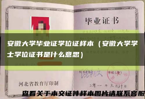 安徽大学毕业证学位证样本（安徽大学学士学位证书是什么意思）缩略图