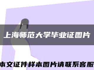 上海师范大学毕业证图片缩略图