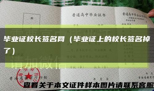 毕业证校长签名网（毕业证上的校长签名掉了）缩略图