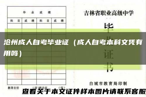 沧州成人自考毕业证（成人自考本科文凭有用吗）缩略图