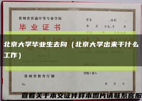 北京大学毕业生去向（北京大学出来干什么工作）缩略图