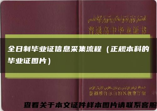 全日制毕业证信息采集流程（正规本科的毕业证图片）缩略图