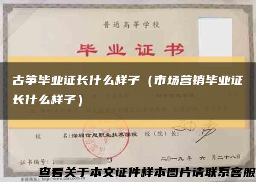 古筝毕业证长什么样子（市场营销毕业证长什么样子）缩略图