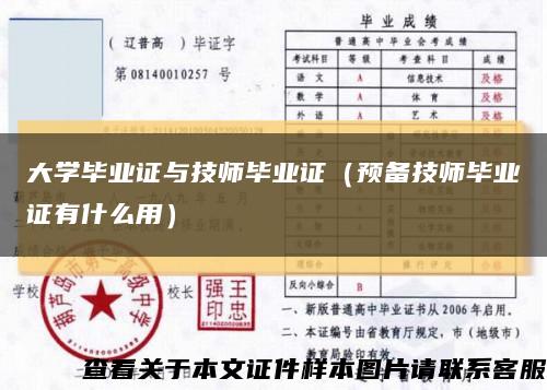 大学毕业证与技师毕业证（预备技师毕业证有什么用）缩略图