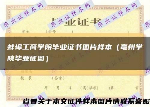蚌埠工商学院毕业证书图片样本（亳州学院毕业证图）缩略图