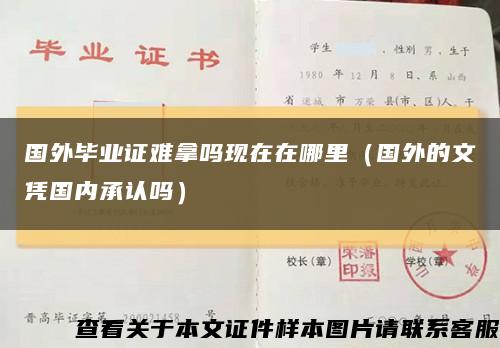 国外毕业证难拿吗现在在哪里（国外的文凭国内承认吗）缩略图
