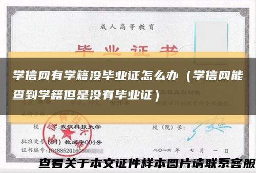 学信网有学籍没毕业证怎么办（学信网能查到学籍但是没有毕业证）缩略图