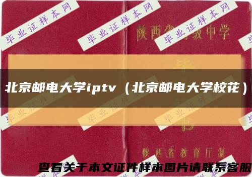 北京邮电大学iptv（北京邮电大学校花）缩略图