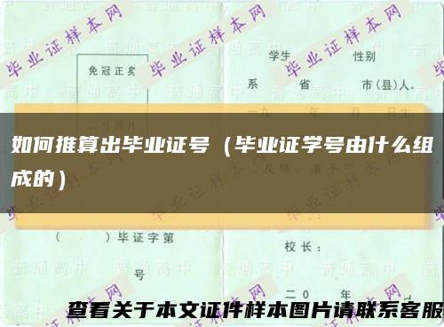 如何推算出毕业证号（毕业证学号由什么组成的）缩略图
