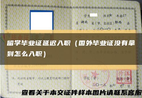 留学毕业证延迟入职（国外毕业证没有拿到怎么入职）缩略图