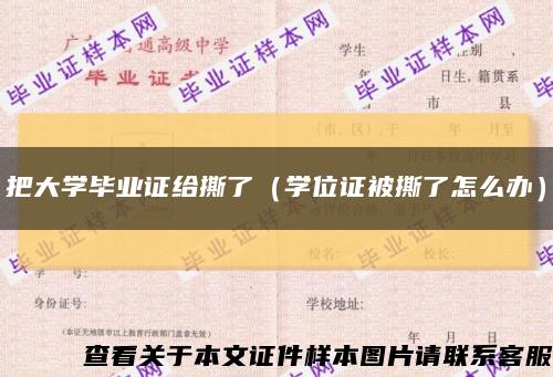 把大学毕业证给撕了（学位证被撕了怎么办）缩略图