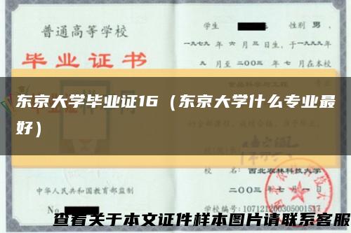 东京大学毕业证16（东京大学什么专业最好）缩略图