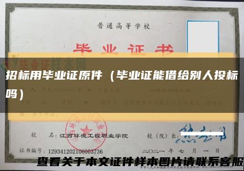 招标用毕业证原件（毕业证能借给别人投标吗）缩略图