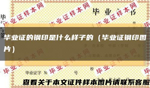 毕业证的钢印是什么样子的（毕业证钢印图片）缩略图