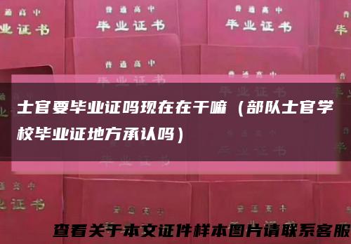 士官要毕业证吗现在在干嘛（部队士官学校毕业证地方承认吗）缩略图