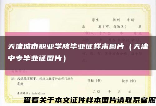天津城市职业学院毕业证样本图片（天津中专毕业证图片）缩略图