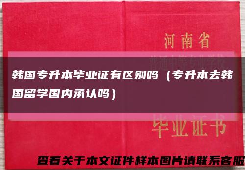 韩国专升本毕业证有区别吗（专升本去韩国留学国内承认吗）缩略图