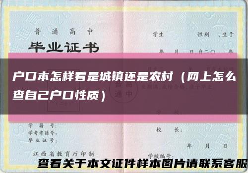 户口本怎样看是城镇还是农村（网上怎么查自己户口性质）缩略图