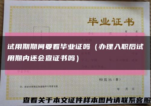 试用期期间要看毕业证吗（办理入职后试用期内还会查证书吗）缩略图