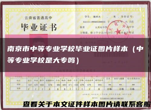 南京市中等专业学校毕业证图片样本（中等专业学校是大专吗）缩略图