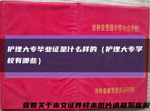 护理大专毕业证是什么样的（护理大专学校有哪些）缩略图