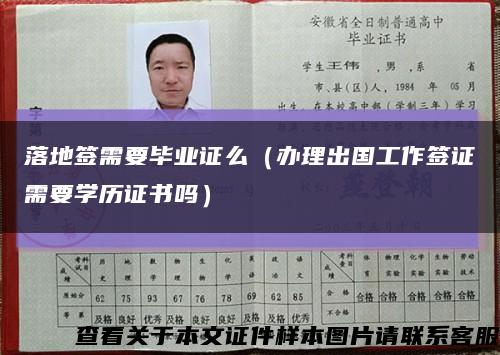 落地签需要毕业证么（办理出国工作签证需要学历证书吗）缩略图