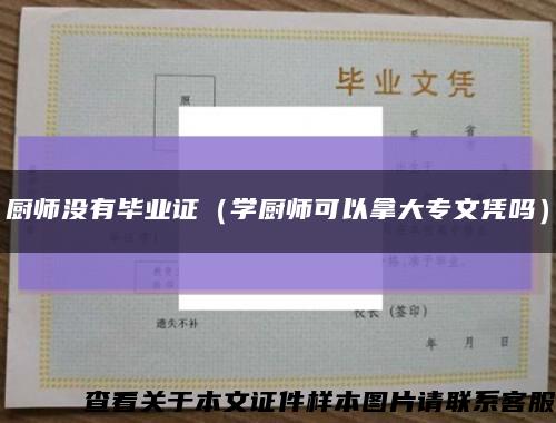 厨师没有毕业证（学厨师可以拿大专文凭吗）缩略图