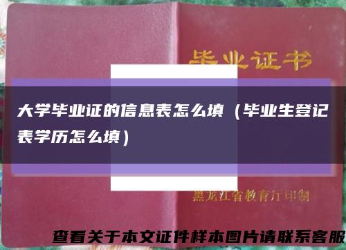 大学毕业证的信息表怎么填（毕业生登记表学历怎么填）缩略图