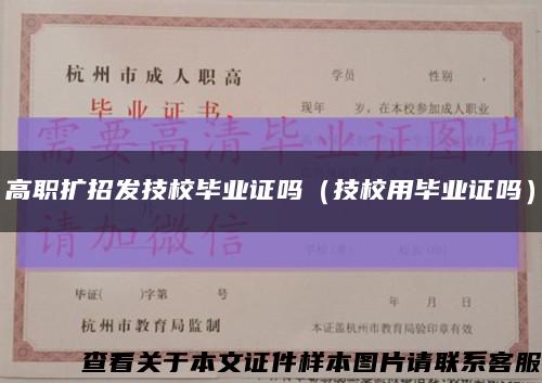 高职扩招发技校毕业证吗（技校用毕业证吗）缩略图