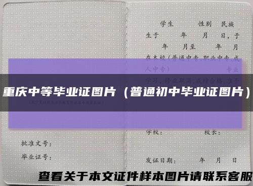 重庆中等毕业证图片（普通初中毕业证图片）缩略图