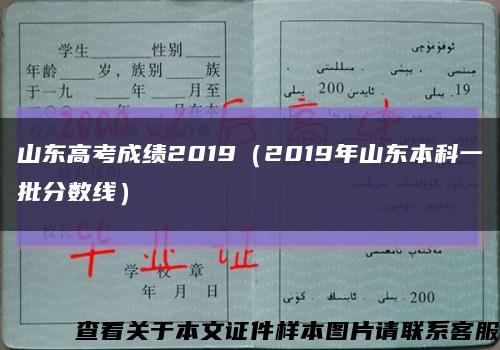 山东高考成绩2019（2019年山东本科一批分数线）缩略图
