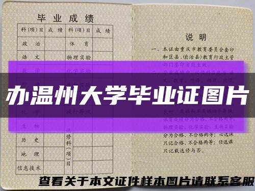 办温州大学毕业证图片缩略图