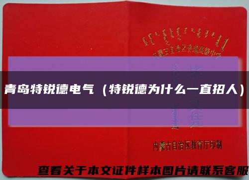 青岛特锐德电气（特锐德为什么一直招人）缩略图