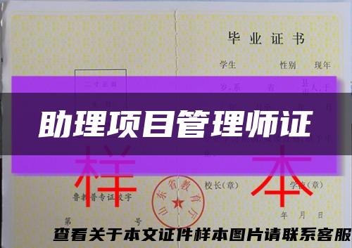 助理项目管理师证缩略图