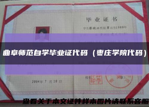 曲阜师范自学毕业证代码（枣庄学院代码）缩略图