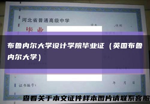 布鲁内尔大学设计学院毕业证（英国布鲁内尔大学）缩略图