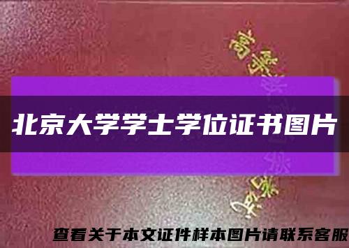 北京大学学士学位证书图片缩略图