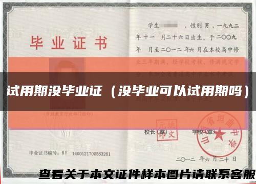 试用期没毕业证（没毕业可以试用期吗）缩略图
