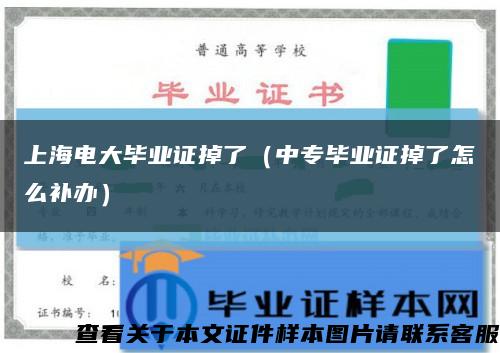上海电大毕业证掉了（中专毕业证掉了怎么补办）缩略图