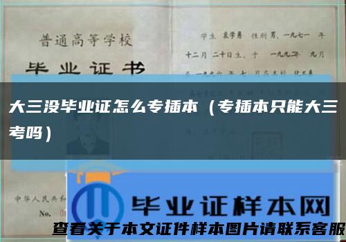 大三没毕业证怎么专插本（专插本只能大三考吗）缩略图