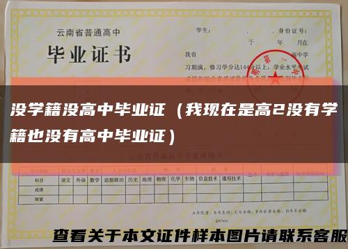 没学籍没高中毕业证（我现在是高2没有学籍也没有高中毕业证）缩略图