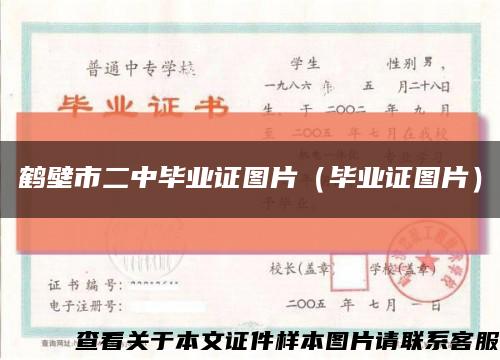 鹤壁市二中毕业证图片（毕业证图片）缩略图