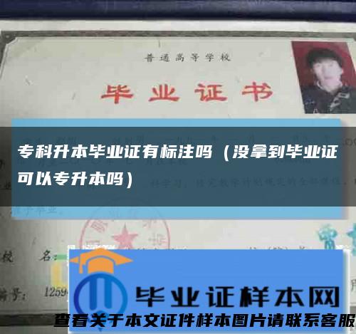 专科升本毕业证有标注吗（没拿到毕业证可以专升本吗）缩略图