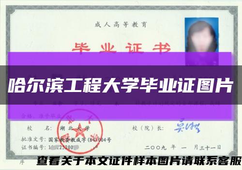 哈尔滨工程大学毕业证图片缩略图