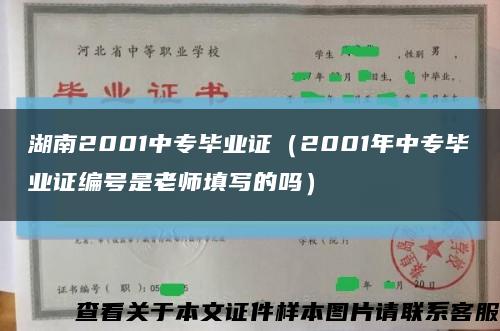 湖南2001中专毕业证（2001年中专毕业证编号是老师填写的吗）缩略图