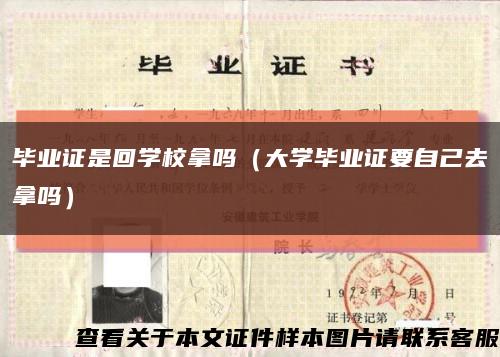 毕业证是回学校拿吗（大学毕业证要自己去拿吗）缩略图