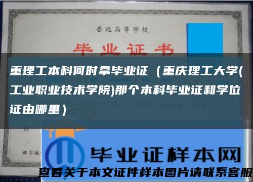 重理工本科何时拿毕业证（重庆理工大学(工业职业技术学院)那个本科毕业证和学位证由哪里）缩略图