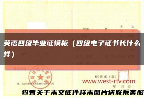 英语四级毕业证模板（四级电子证书长什么样）缩略图