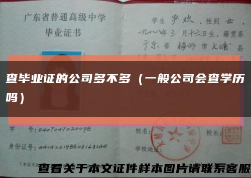 查毕业证的公司多不多（一般公司会查学历吗）缩略图